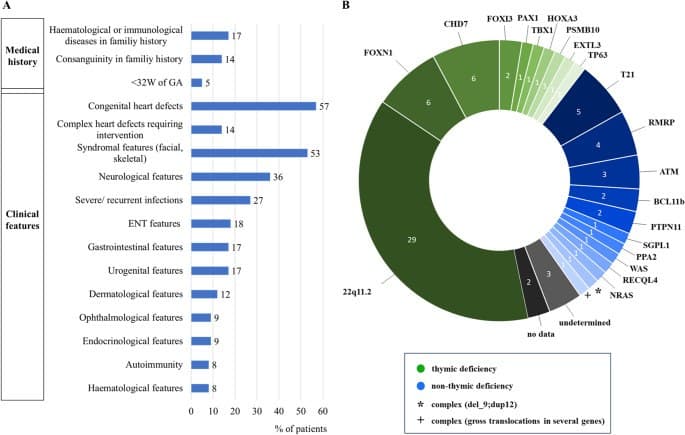 Quadro relacionando achados clínicos aos genes associados à linfopenia de células T.